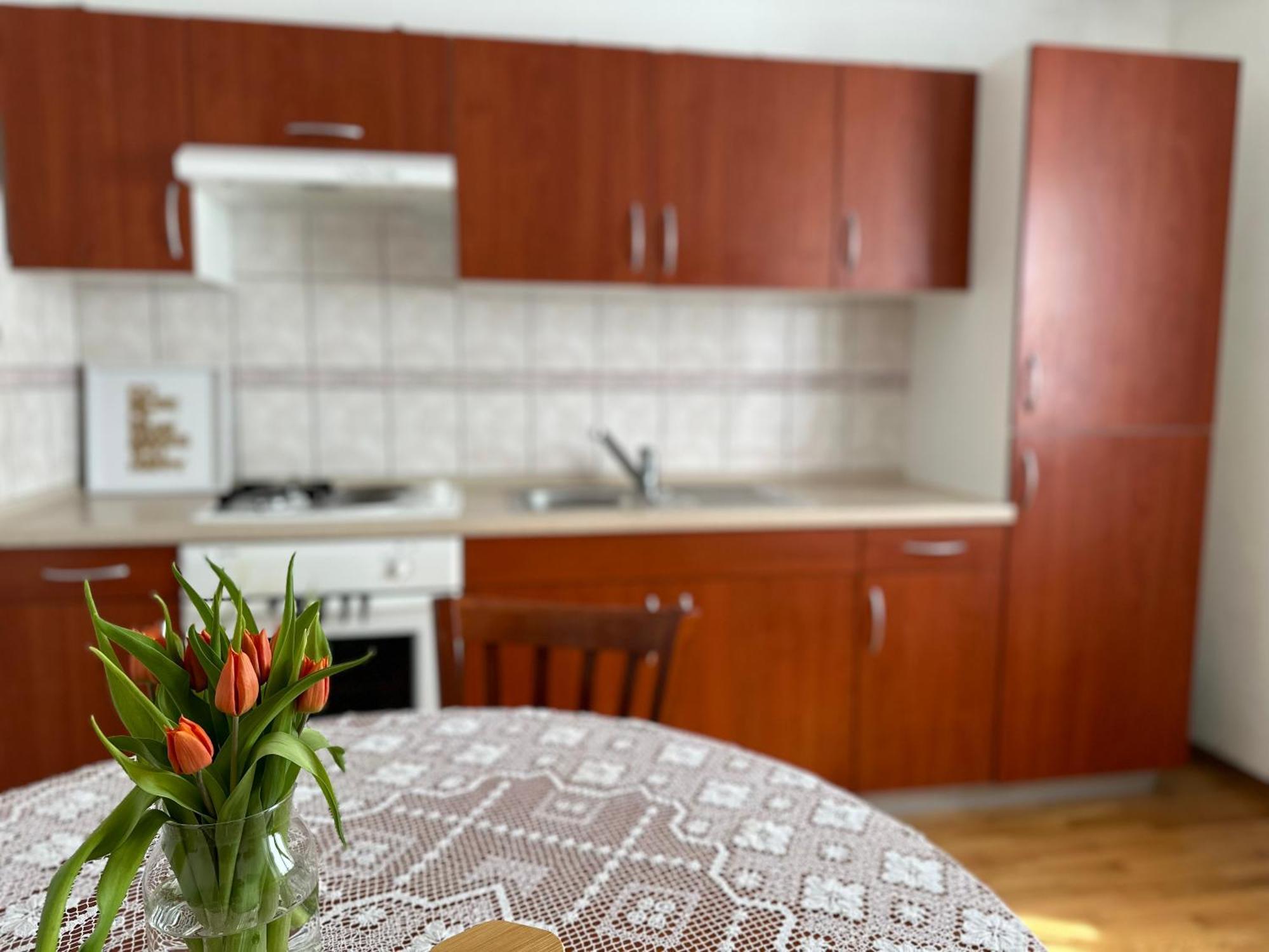 Sunny Hill Apartment إليرسكا بسترتشا المظهر الخارجي الصورة